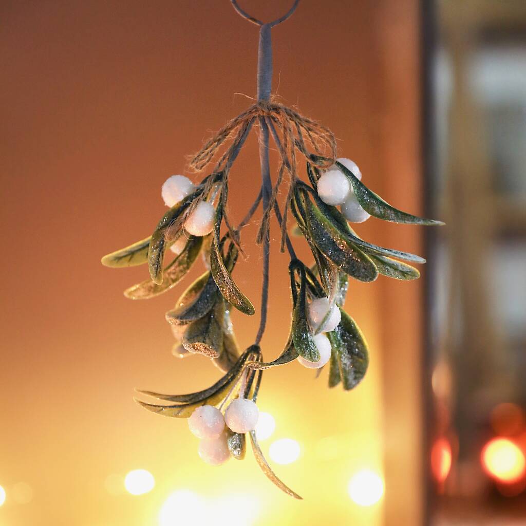 Mistletoe Hanging Decoration By Lisa Angel