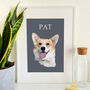 Pet Portrait Full Colour Illustration Dog Cat Etc, thumbnail 2 of 9