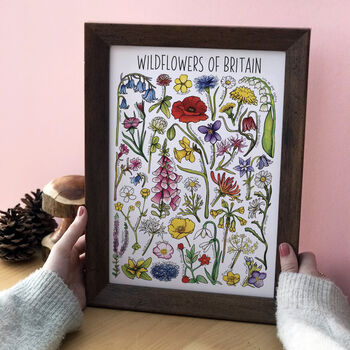 Wildflowers Of Britain Wildlife Watercolour Print, 3 of 7