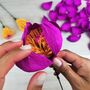 Peony Crepe Paper Bouquet Craft Kit, thumbnail 2 of 7