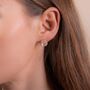18k Gold Plated Round Rose Quartz Stud Earrings, thumbnail 1 of 3