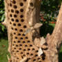 Handmade Teak Root Bumblebee Ornament – Large 65cm, thumbnail 7 of 8