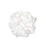 Silk Scrunchie By Holistic Silk, thumbnail 7 of 8
