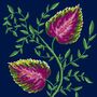 A Fine Vine, thumbnail 2 of 7