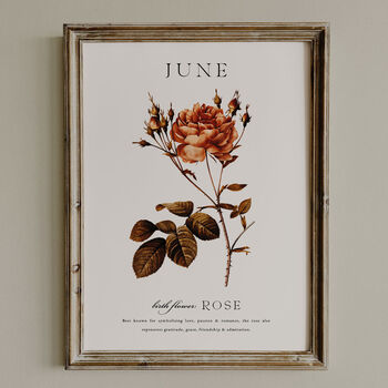 Birth Flower Wall Print 'Rose' For June, 7 of 9