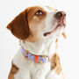 Luxury Leather Dog Collar, thumbnail 2 of 12