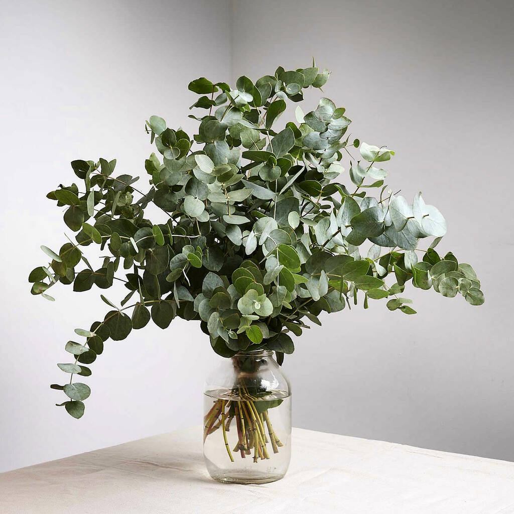 Fresh Scented Eucalyptus Greenery Bunch By The Flower Studio