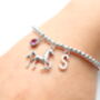 Personalised Horse Charm Bracelet Horse Lover Gift, thumbnail 8 of 10