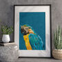 Blue Macaw Parrot With Gold Glasses Wall Art Print, thumbnail 1 of 4