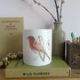 Robin And Snowdrop Tealight Candle Holder, thumbnail 7 of 10
