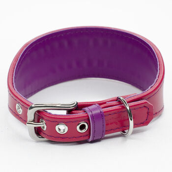 Colour Contrast Leather Whippet Collar, 9 of 11