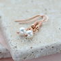 Rose Gold Plated Swarovski Pearl Earrings, thumbnail 2 of 9