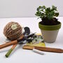 Grow Your Own Daisies Gardening Gift Set, thumbnail 4 of 5