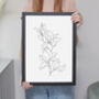 Set Of Three Black And White Floral Line Art Prints, thumbnail 4 of 5