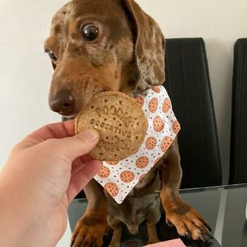 Dogestive Beef Flavoured Biscuit, 4 of 5