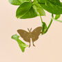 Insect Plant Animal Decor, Butterfly/Bee And More, thumbnail 5 of 9