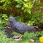 Lifelike Blackbird Garden Sculpture Gift Ornament Frost Proof, thumbnail 5 of 9