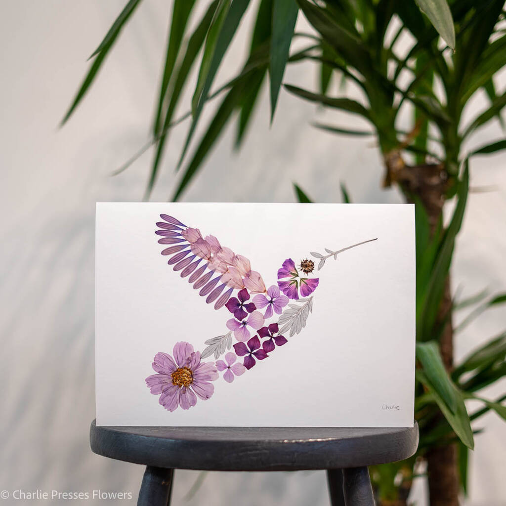 Floral Hummingbird Pressed Flower Art Print, 1 of 4