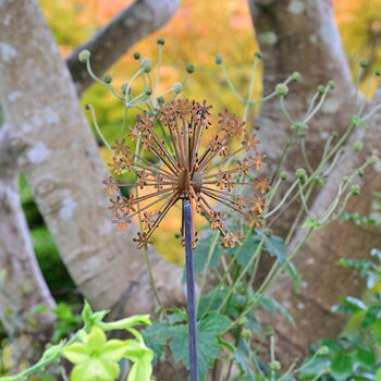 Rusty Metal Allium Garden Ornament, 2 of 7