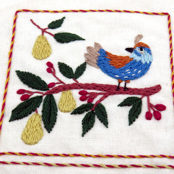 Twelve Days Of Christmas Festive Embroidery Kit, 7 of 12