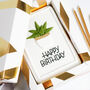 House Plant Birthday Cake, thumbnail 2 of 6
