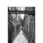 Iron Gate, Venice, Italy Photographic Art Print, thumbnail 3 of 4