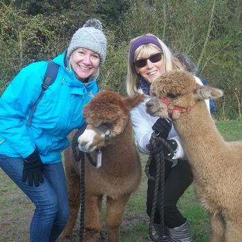 Alpaca Walk And Fleece Felting Day With Lunch, 3 of 11