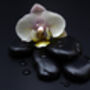 Dark Orchid Wax Melt Snap Bar, thumbnail 2 of 3