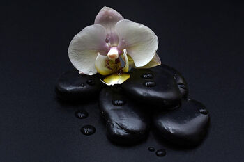 Dark Orchid Wax Melt Snap Bar, 2 of 3