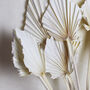 Bleached Dried Exotic Palm Spear Bunch, thumbnail 4 of 5