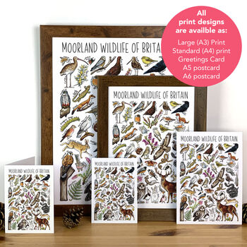 Moorland Wildlife Of Britain Greeting Card, 2 of 8