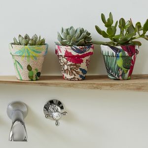 Indoor Flower Pots Botanical Print Indoor Plant Pot Kitchen