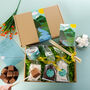 'Nature' Vegan Marshmallow Ultimate Toasting Kit, thumbnail 2 of 2
