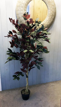 120cm Red And Green Artificial Ficus, 4 of 5