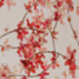 Cherry Blossom Butterfly Art, 3D Feature Wall Art, thumbnail 5 of 12