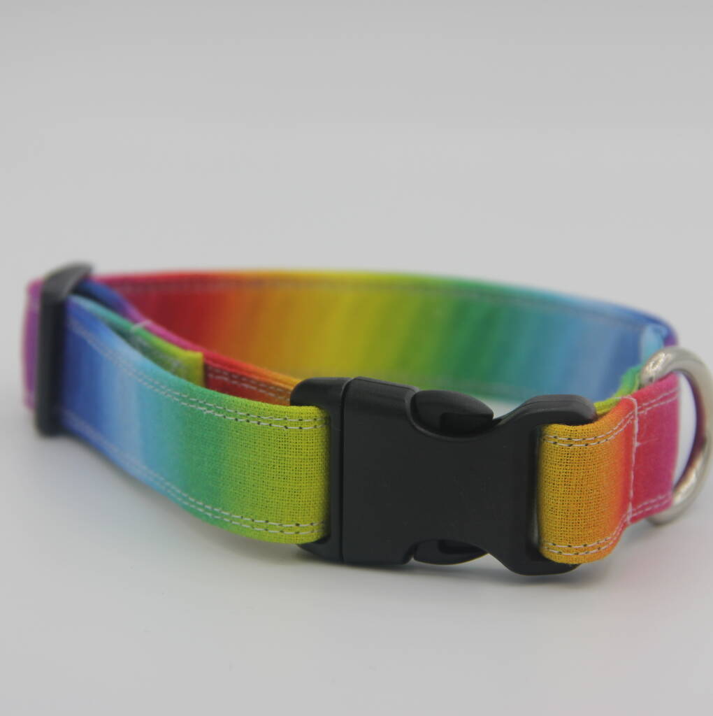 Rainbow Ombré Dog Collar And Lead Accessory Set By Muddy Paws Accessories