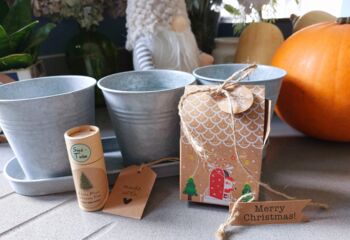 Let It Grow This Christmas Gift Set, 2 of 8