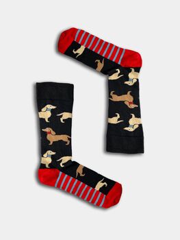 Dog Novelty Socks Set, 7 of 7