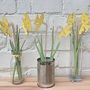 Wooden Sunny Daffodils, thumbnail 2 of 5