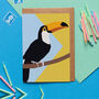 Bird Watching Wrapping Paper, thumbnail 4 of 5