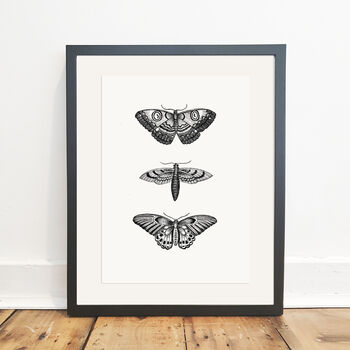 Butterfly Botanical Illustration Print, 3 of 4