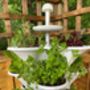 Acqua Garden Two: Solar Powered Vertical Growing System, thumbnail 6 of 6