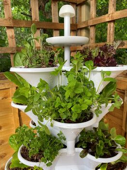 Acqua Garden Two: Solar Powered Vertical Growing System, 6 of 6