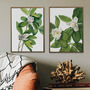 Magnolia Botanical Prints Set Of Two Framed Or Unframed, thumbnail 8 of 11