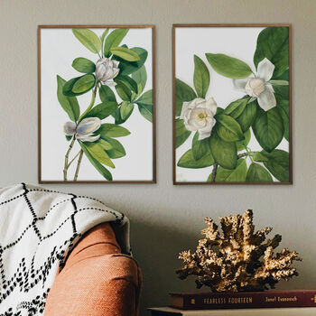 Magnolia Botanical Prints Set Of Two Framed Or Unframed, 8 of 11
