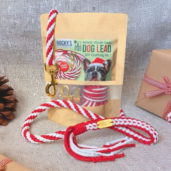 Make Your Own Candy Cane Sparkle Dog Lead Craft Kit, 5 of 6