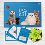 I Am Zat Cat ~ Gift For Cat Lovers Of All Ages / Game About Cats / Cat Themed Gift / Fun Game For Christmas Eve Box, thumbnail 9 of 9