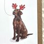 Labrador Christmas Card, thumbnail 6 of 9