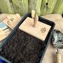 Large Wooden Seed Tray Tamper, thumbnail 4 of 5