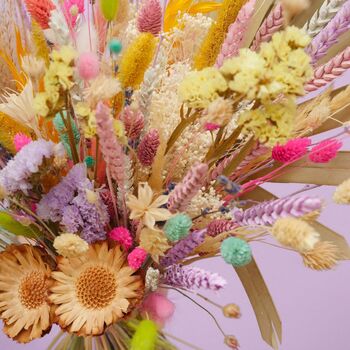 The Popping Candy Dried Flower Bunch, 6 of 8